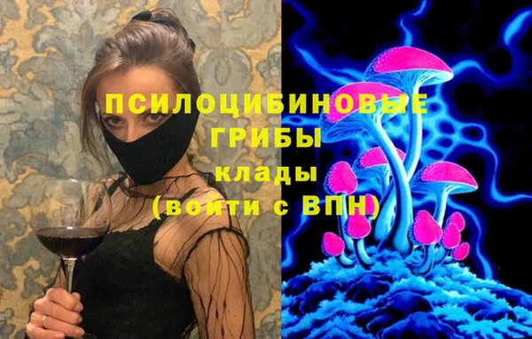сатива Дмитриев