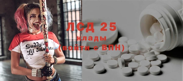 сатива Дмитриев