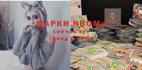 сатива Дмитриев