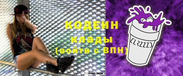 сатива Дмитриев