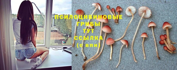 первитин Ельня