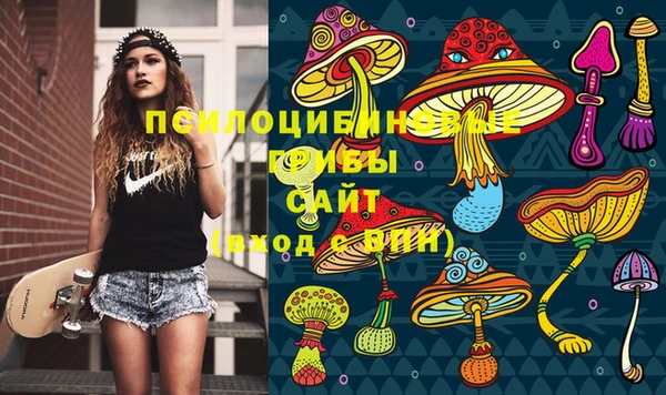 сатива Дмитриев