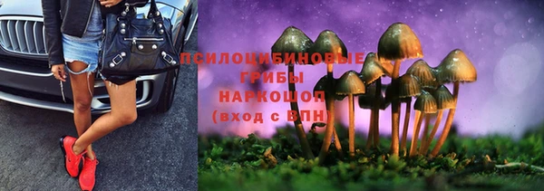 сатива Дмитриев
