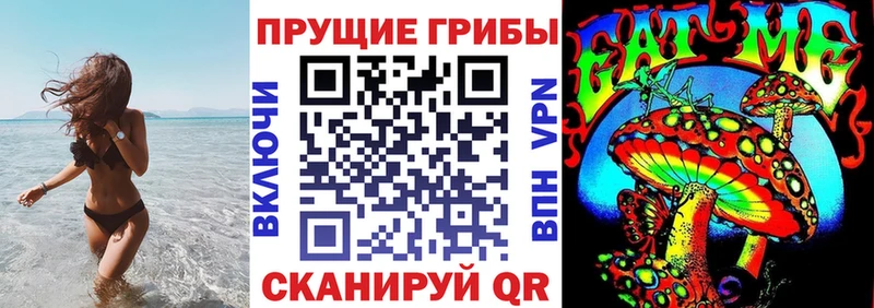 Псилоцибиновые грибы мухоморы  Чаплыгин 