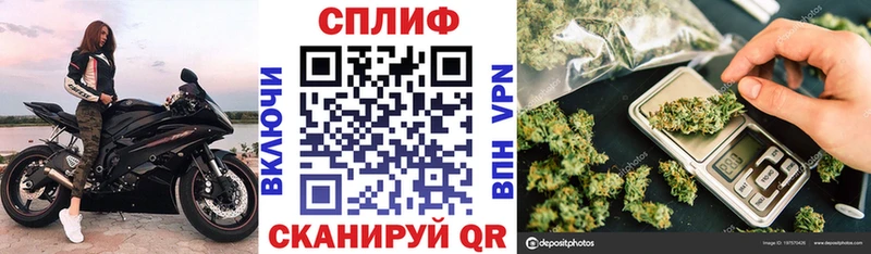 Шишки марихуана OG Kush Чаплыгин